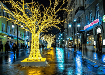 Untitled 350 x 250 px 1 Home