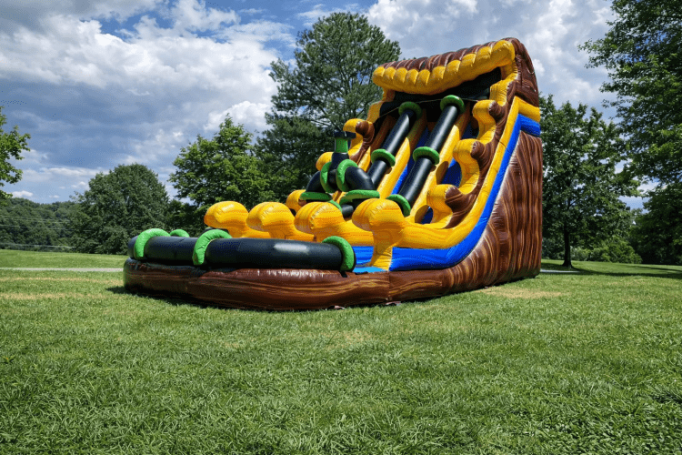 Water Slide Rentals